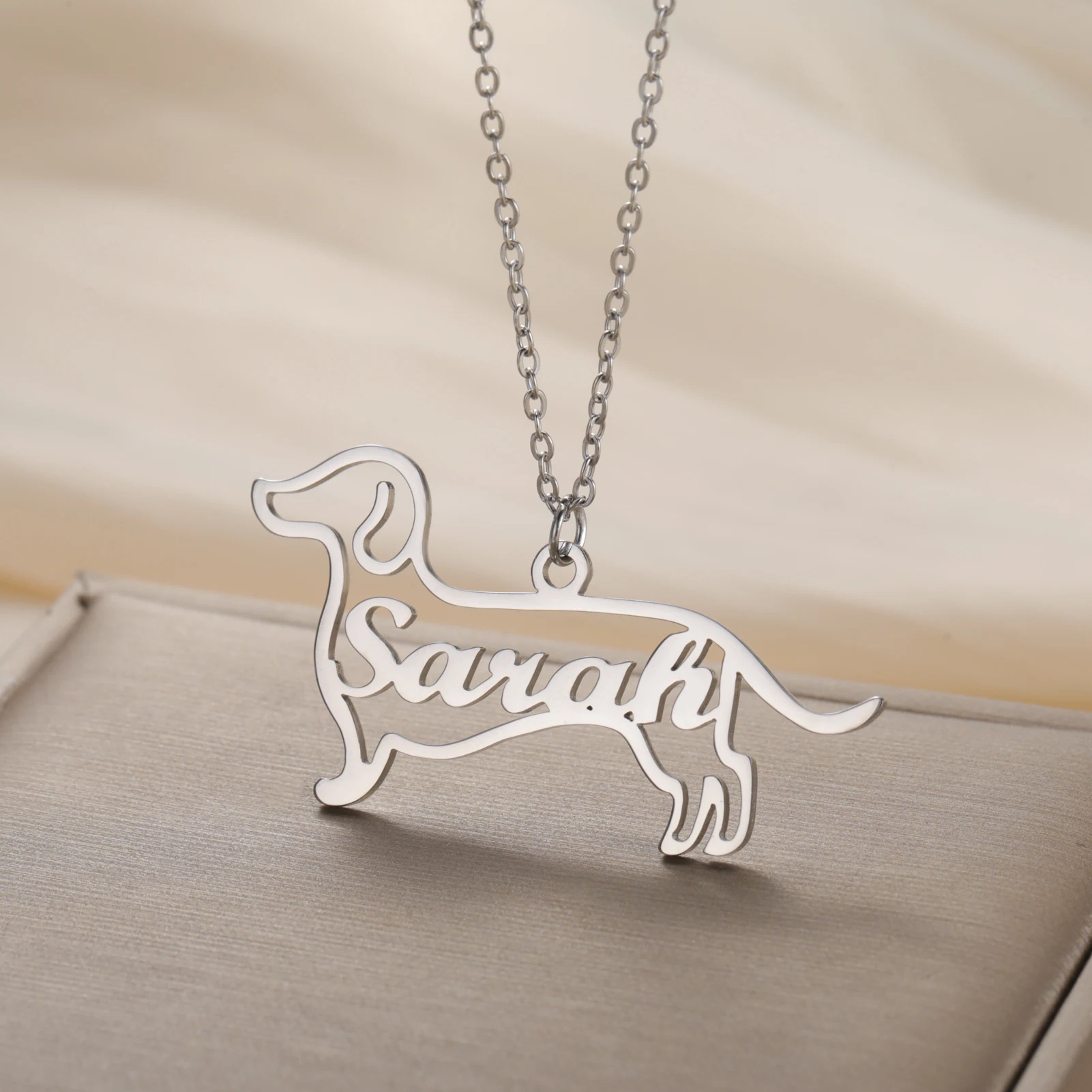 Cazador saucisse chien Labrador Pit Bull berger collier personnalisé chiot nom Animal personnalisé colliers en acier inoxydable bijoux