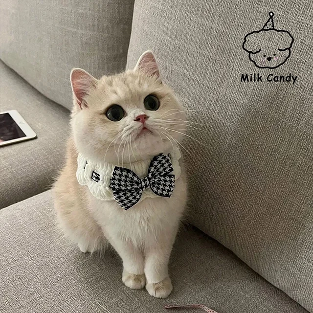 Collier de Luxe pour Animaux – Image 4