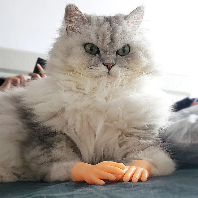 Manchon de doigt de geste pour chat, mini modèle de main, gants en silicone, jouet d'interaction pour animaux de compagnie, outil de massage pour chat, 1 ensemble – Image 2