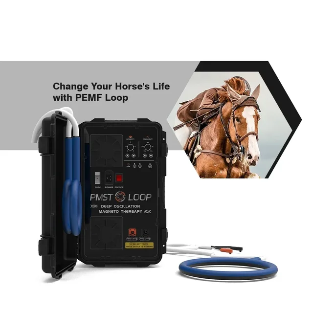 2024 PEMF LOOP For Horse Treatment Pemf Therapies Rehabilitating And Injured Horse Massage Equine PEMF Therapy Machine – Image 3
