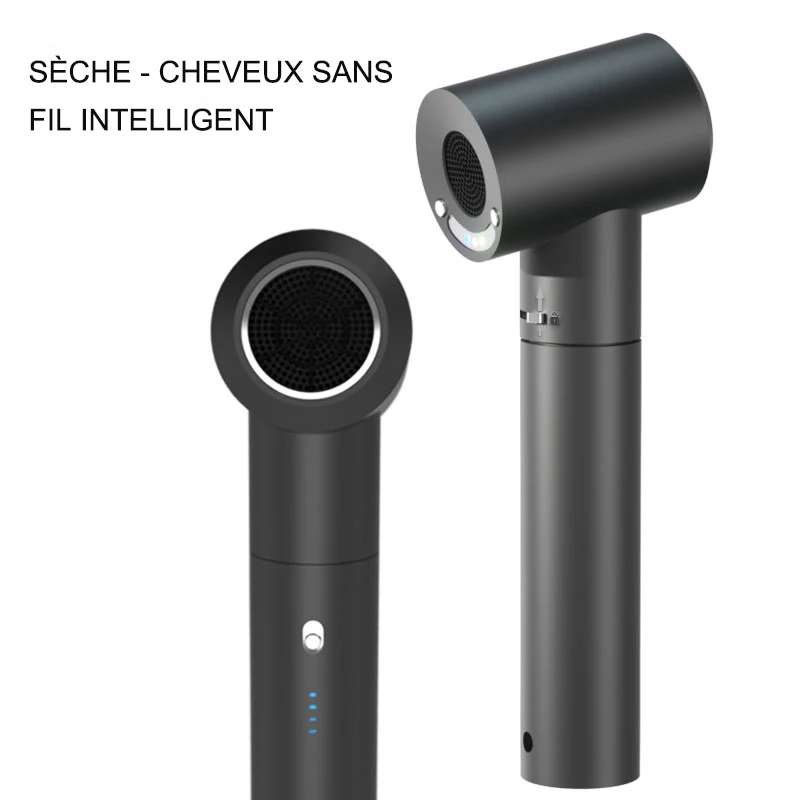 Sèche-cheveux sans fil avec réglage de l'air naturel et vent chaud, affichage de la batterie LED aste, utilisation pour animaux de compagnie, étudiants, bébés, employés de bureau