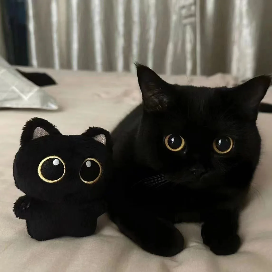 Jouet en peluche chat noir mignon, petit pendentif, oreiller câlin, coussin, Ins, beurre, garçon, fille, cadeaux de mariée, 10cm