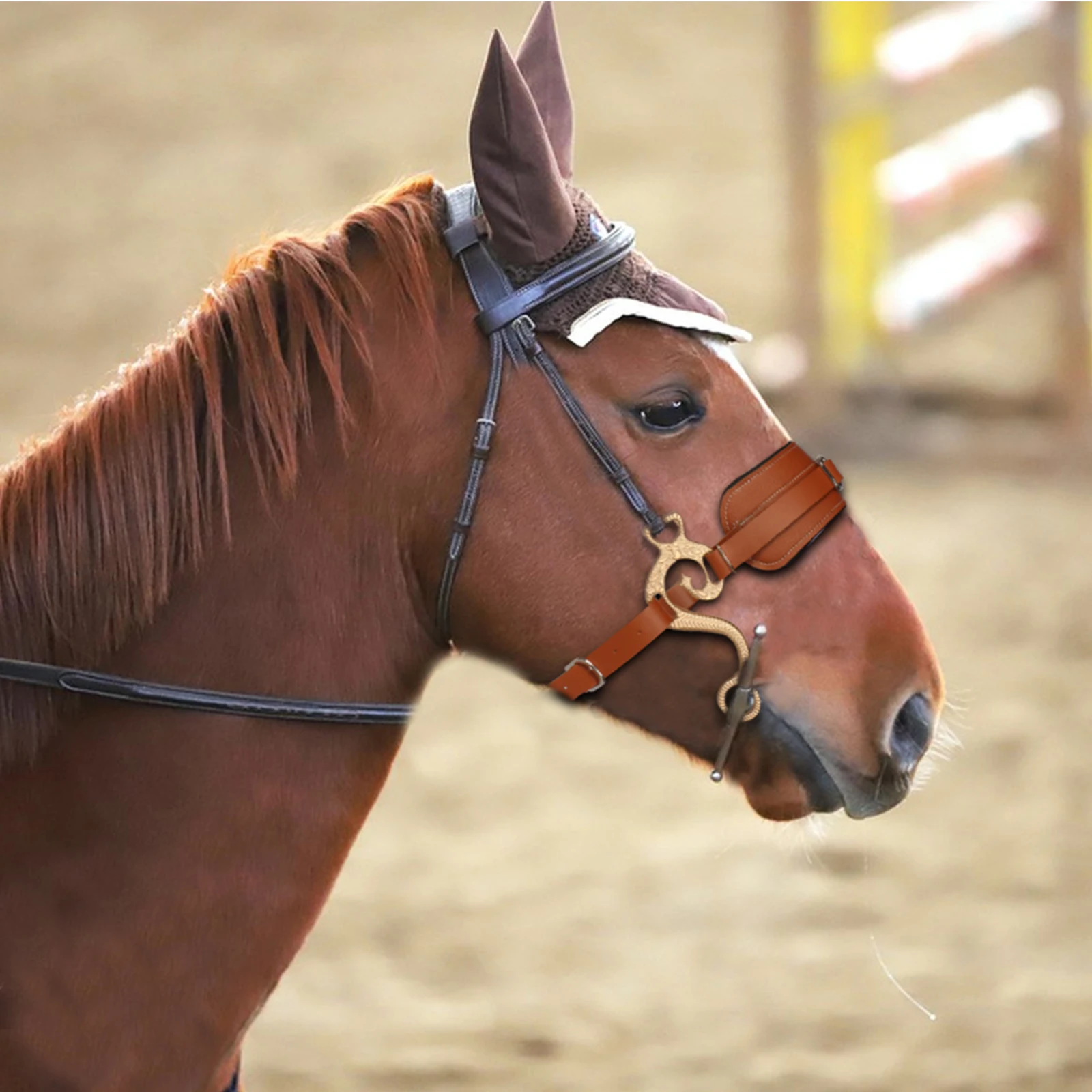 Adjustable Hackamore Horse Bit Brown Leather English Western Bridle Padded Nose Curb Chain Equestrian Riding Sport Equipment