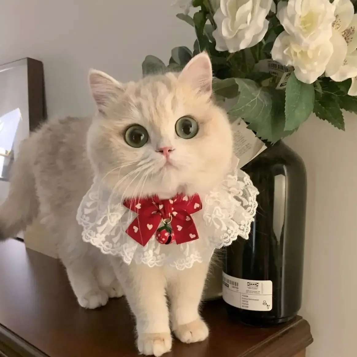 Collier de Luxe pour Animaux