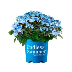 Produit Exclusif