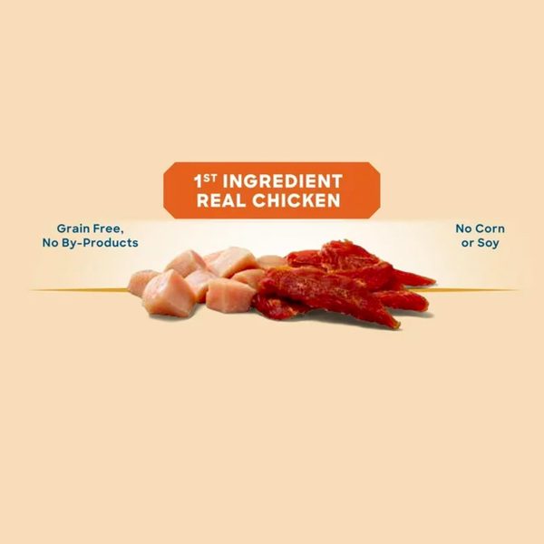 Golden Rewards Chicken Flavor Premium Dry Jerky Treats for All Dogs, 16 oz – Image 2